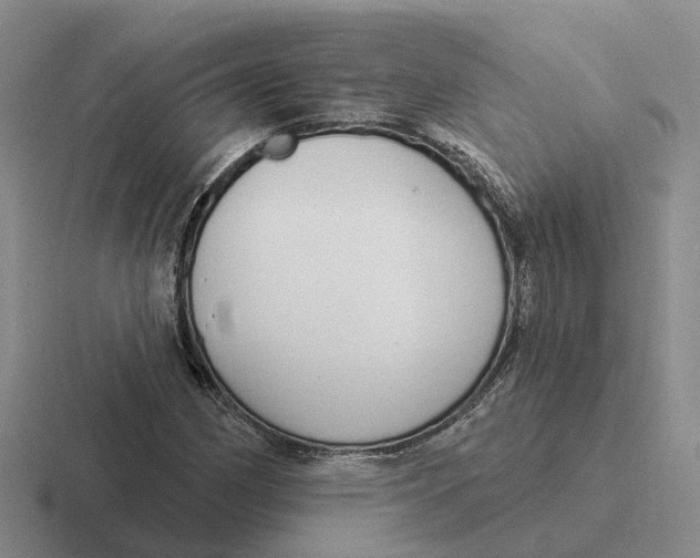 X0000116651162201001041045