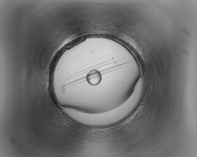 X0000116651165201001041044