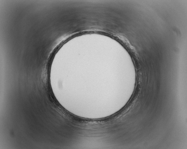 X0000116651167201001041044