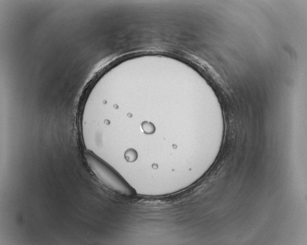 X0000116651168201001041044