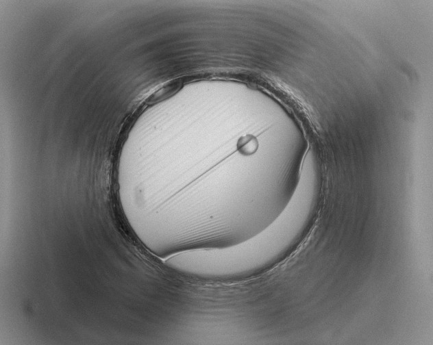 X0000116651169201001041044