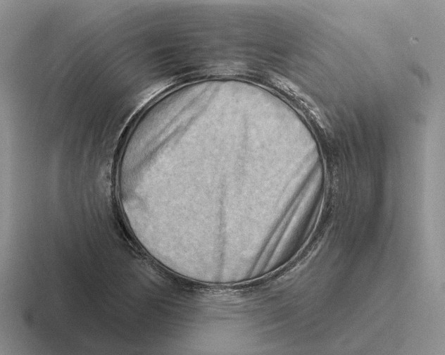 X0000116651170201001041044