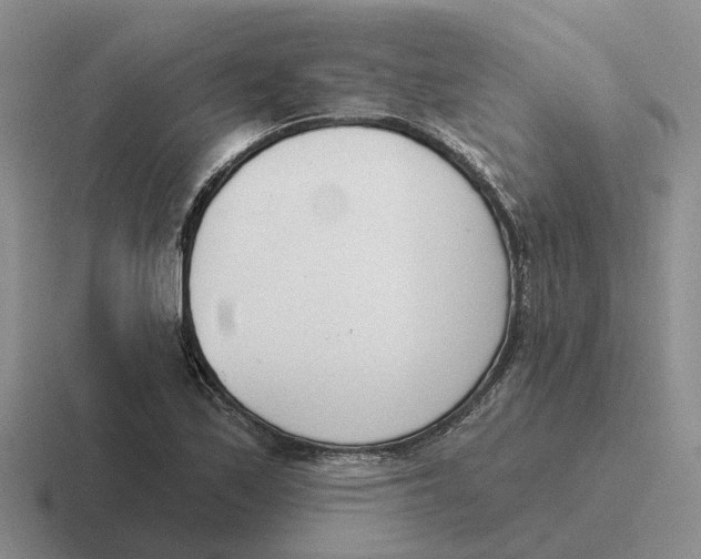 X0000116651171201001041044