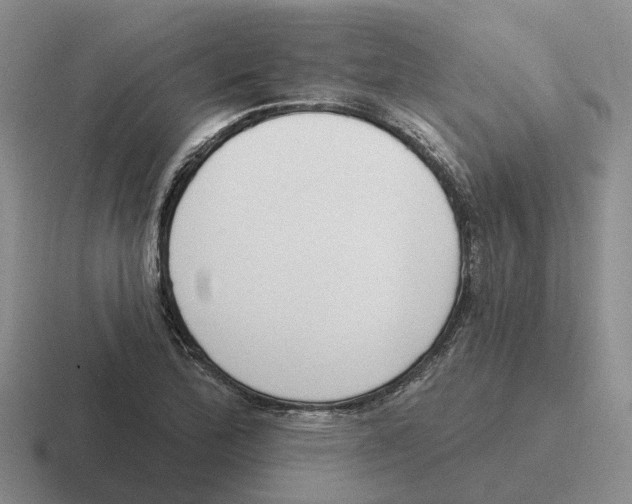 X0000116651172201001041044