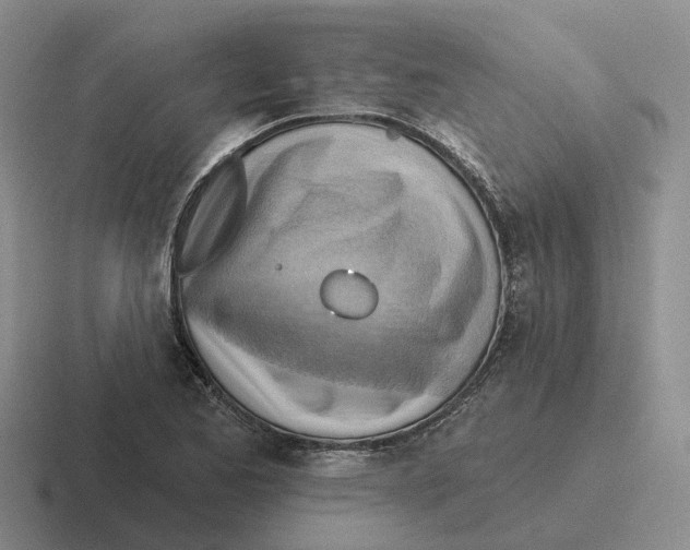 X0000116651173201001041044