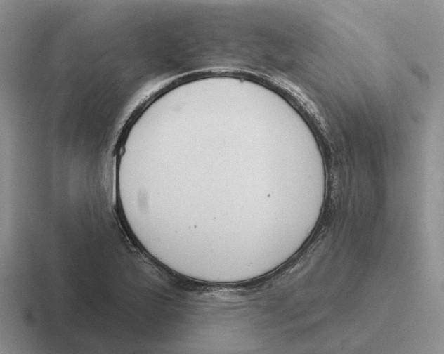 X0000116651175201001041044