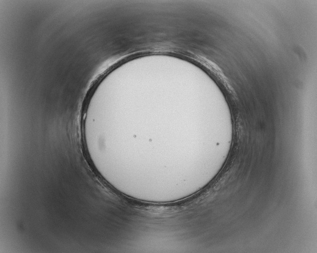 X0000116651176201001041044