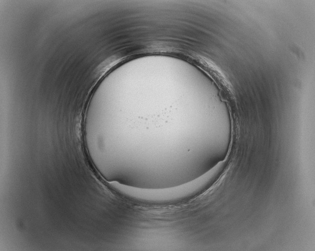 X0000116651177201001041044