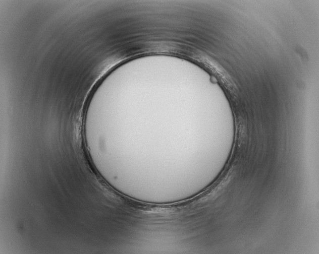 X0000116651178201001041044