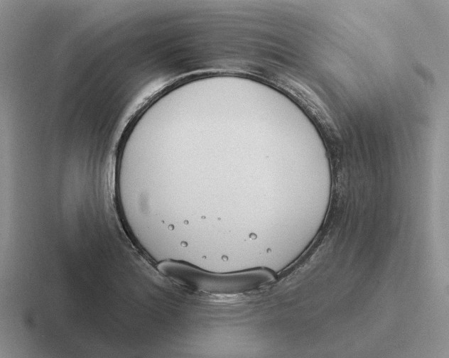 X0000116651180201001041044