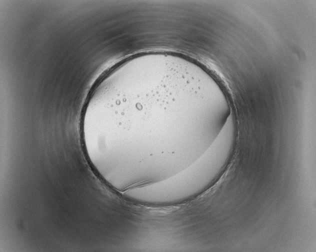 X0000116651181201001041044