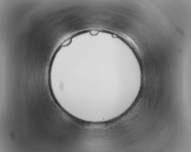 X0000116651183201001041044