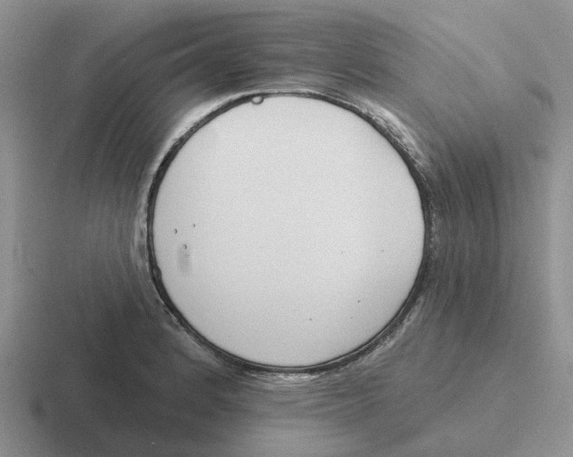 X0000116651184201001041044