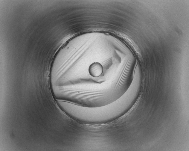 X0000116651185201001041044