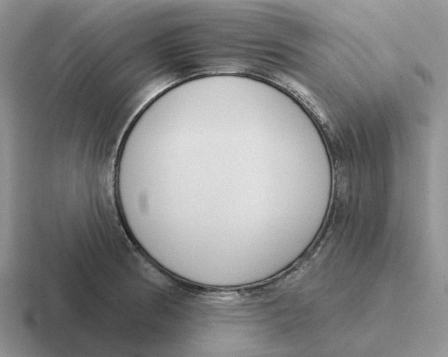 X0000116651186201001041044