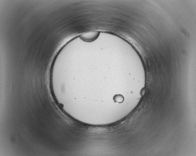 X0000116651187201001041044