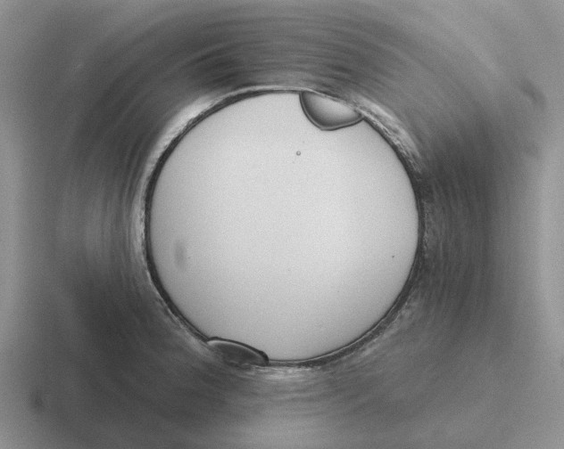 X0000116651188201001041044