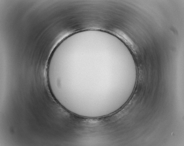 X0000116651190201001041044