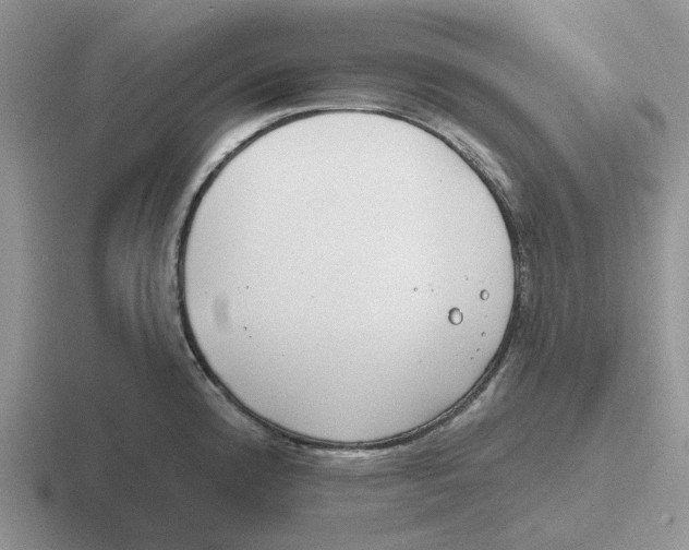 X0000116651192201001041044