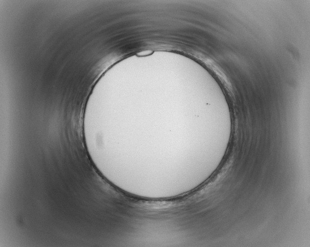 X0000116651193201001041044