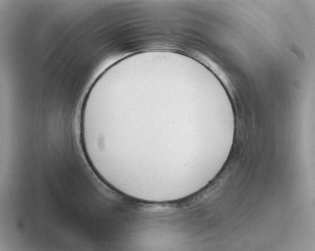 X0000116651195201001041044