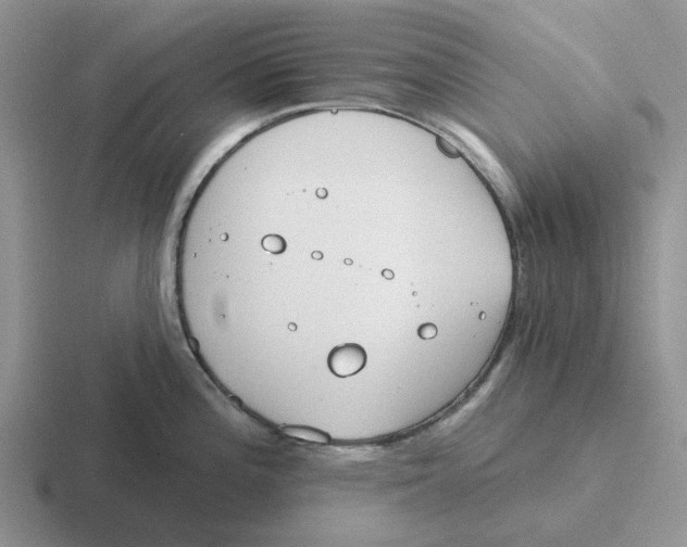 X0000116651196201001041044