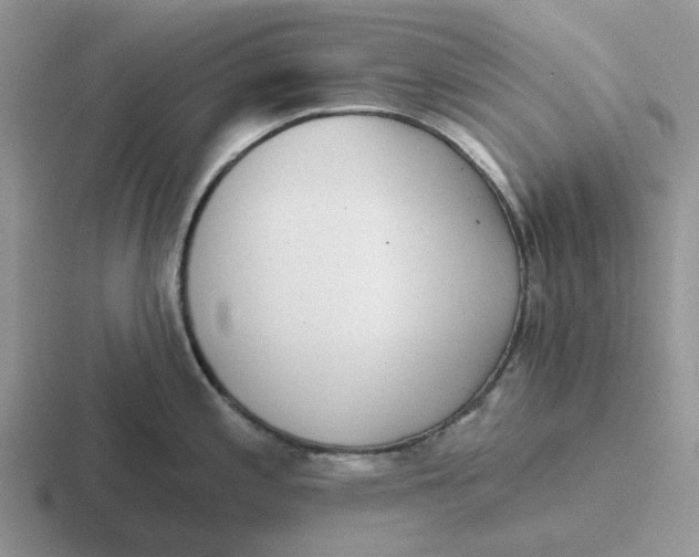 X0000116651197201001041044