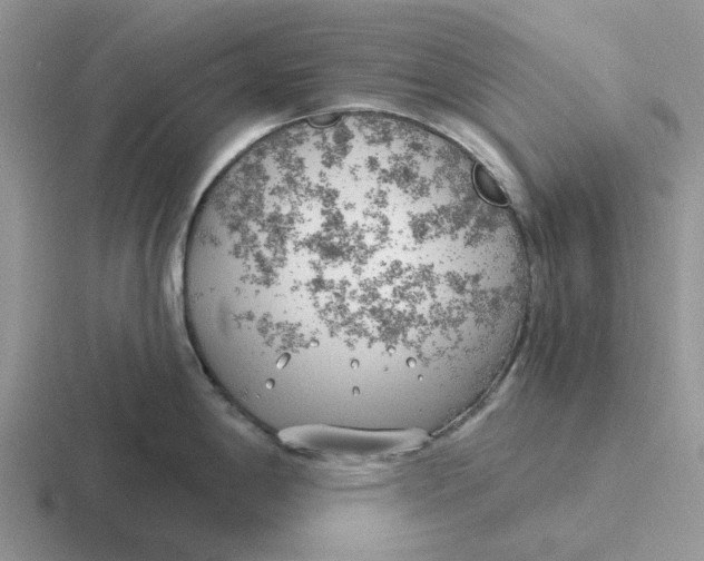 X0000116651198201001041044