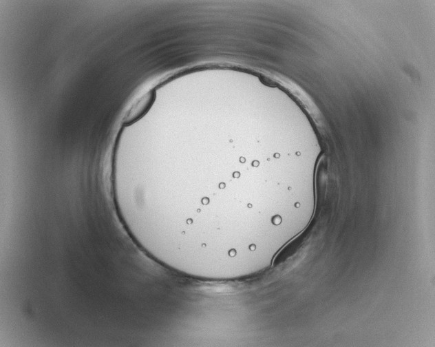 X0000116651199201001041044