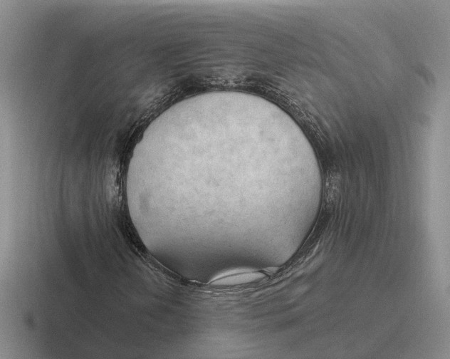 X0000116651202201001041043