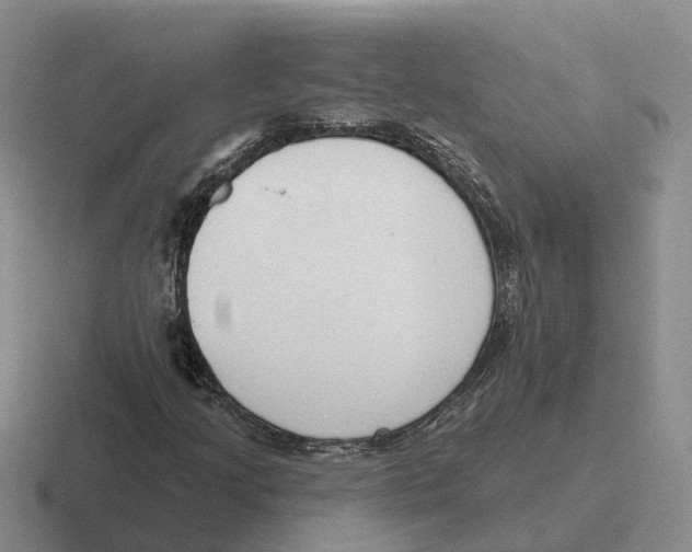 X0000116651205201001041043