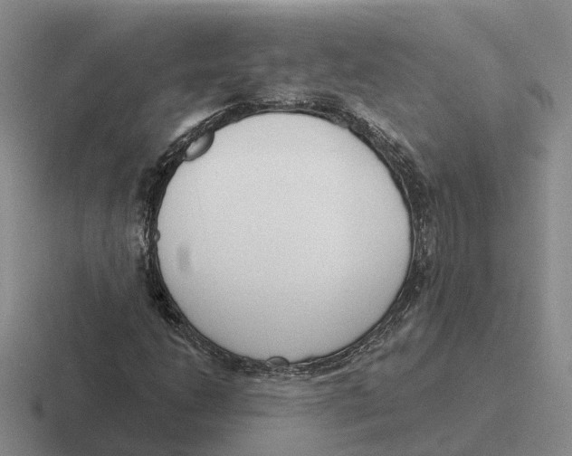 X0000116651206201001041043