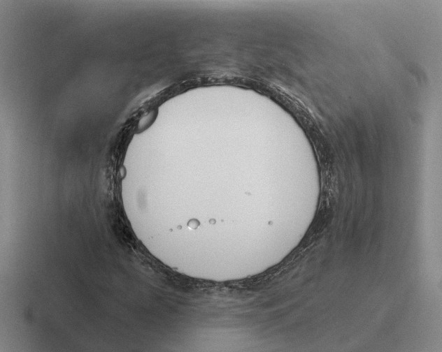 X0000116651207201001041044