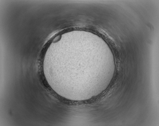 X0000116651208201001041044