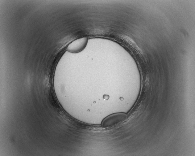 X0000116651209201001041044