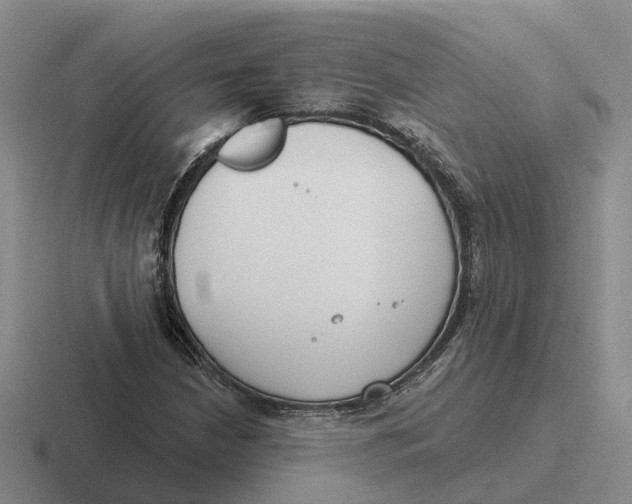 X0000116651210201001041044