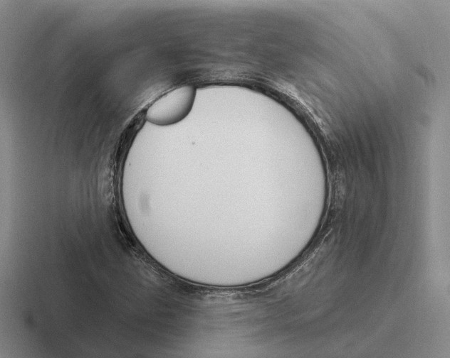 X0000116651211201001041044