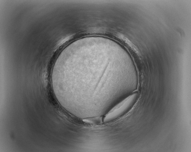 X0000116651213201001041044