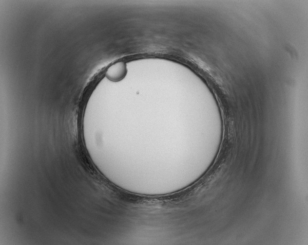 X0000116651214201001041044