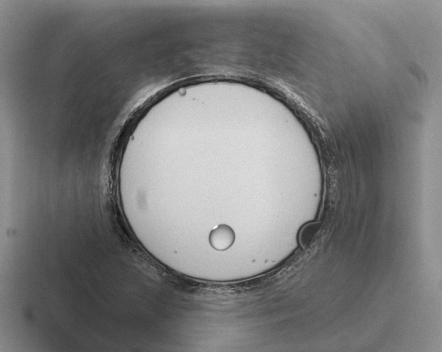 X0000116651215201001041044