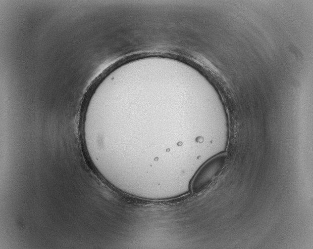 X0000116651216201001041044