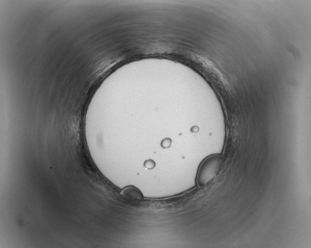 X0000116651217201001041044