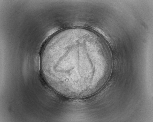 X0000116651219201001041044