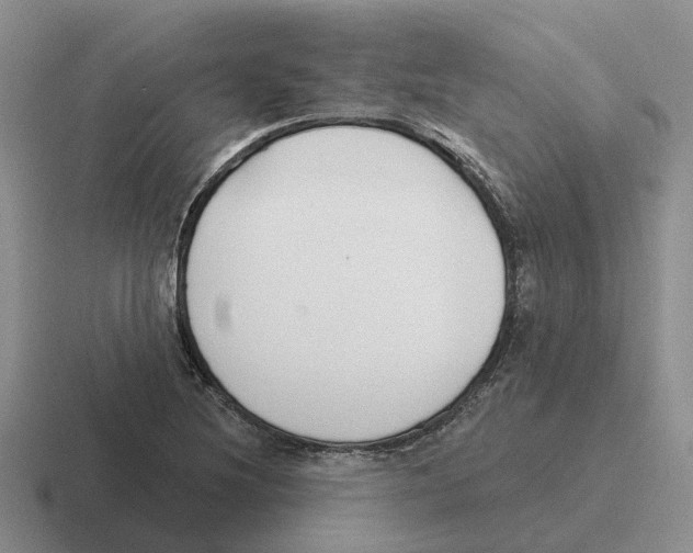 X0000116651220201001041044