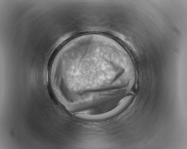 X0000116651221201001041044