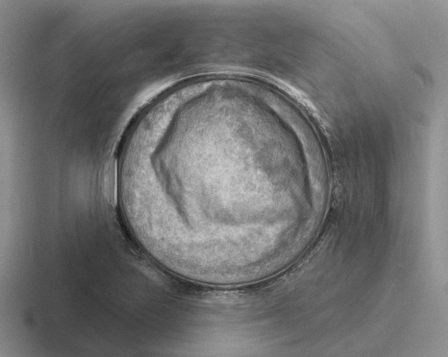 X0000116651223201001041044