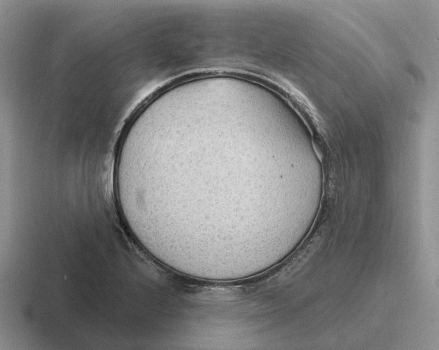 X0000116651224201001041044