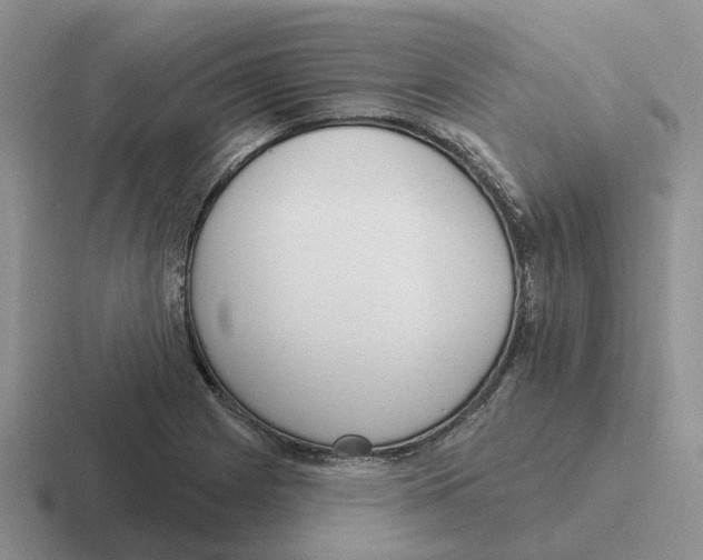 X0000116651225201001041044