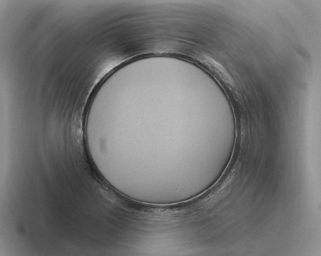 X0000116651226201001041044