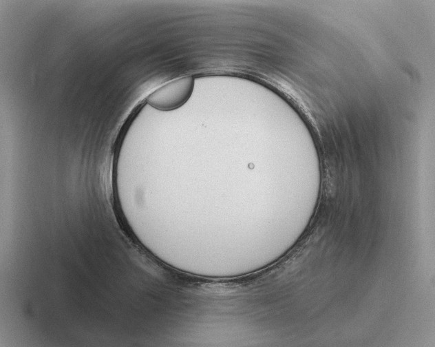 X0000116651227201001041044